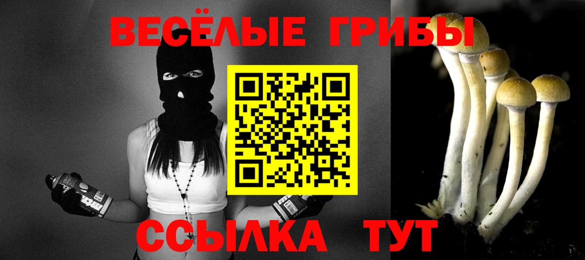 Спасск-Дальний  Псилоцибиновые грибы прущие грибы  Вход с VPN 