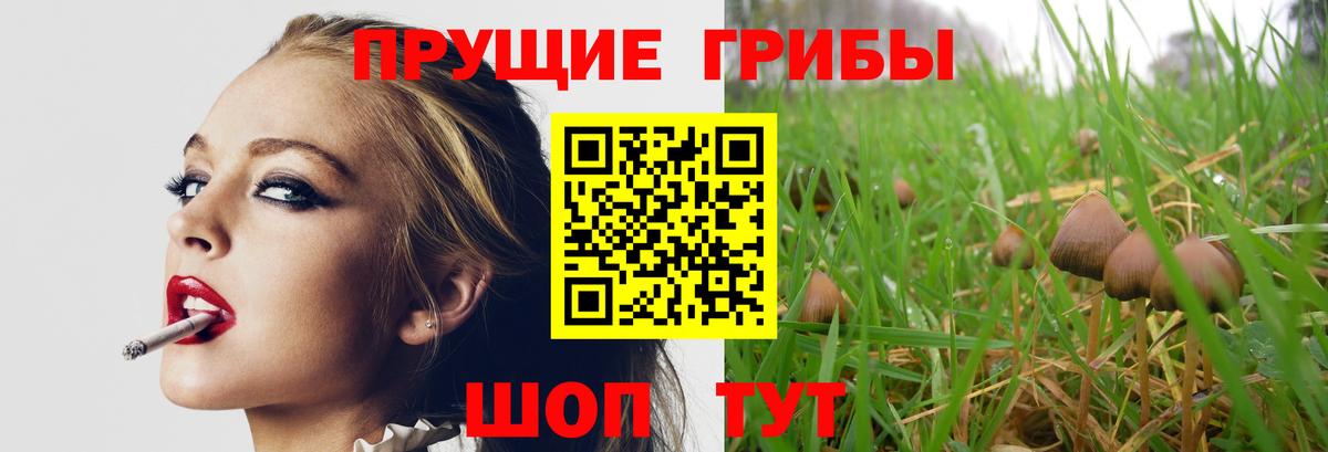 Галлюциногенные грибы MAGIC MUSHROOMS Спасск-Дальний